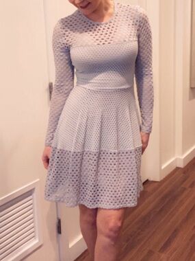 BCBGMaxAzria Baby Blue Long-Sleeve Eyelet Fit & Flare Dress